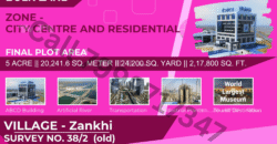 Dholera – Zankhi – City Center and Residential – 2,17,800 sq ft || 24,200 sq yard