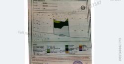 Dholera – Rahtalav – Tourism, Recreation, Coastal – 9000 sq ft || 1000 sq yard